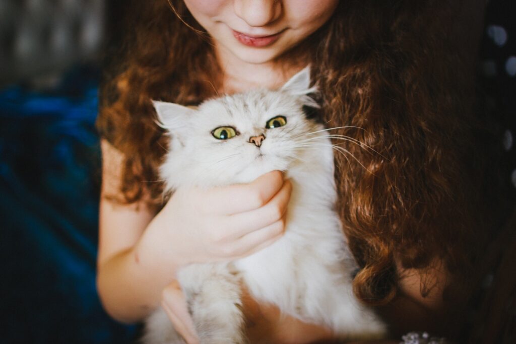 Understanding your cats