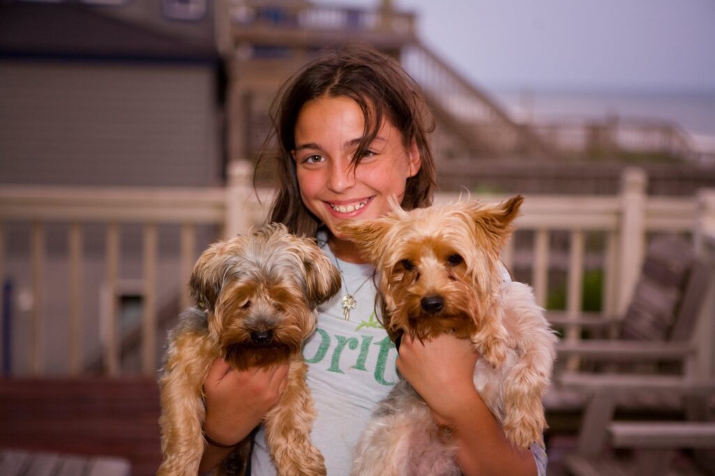 Buying a puppy dog