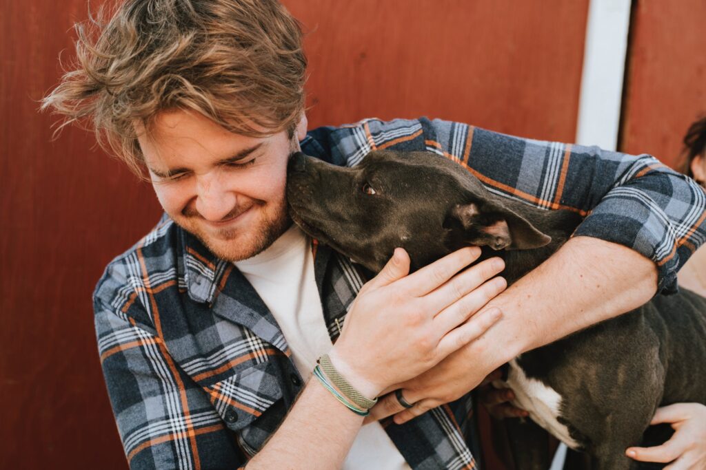 Buying a dog