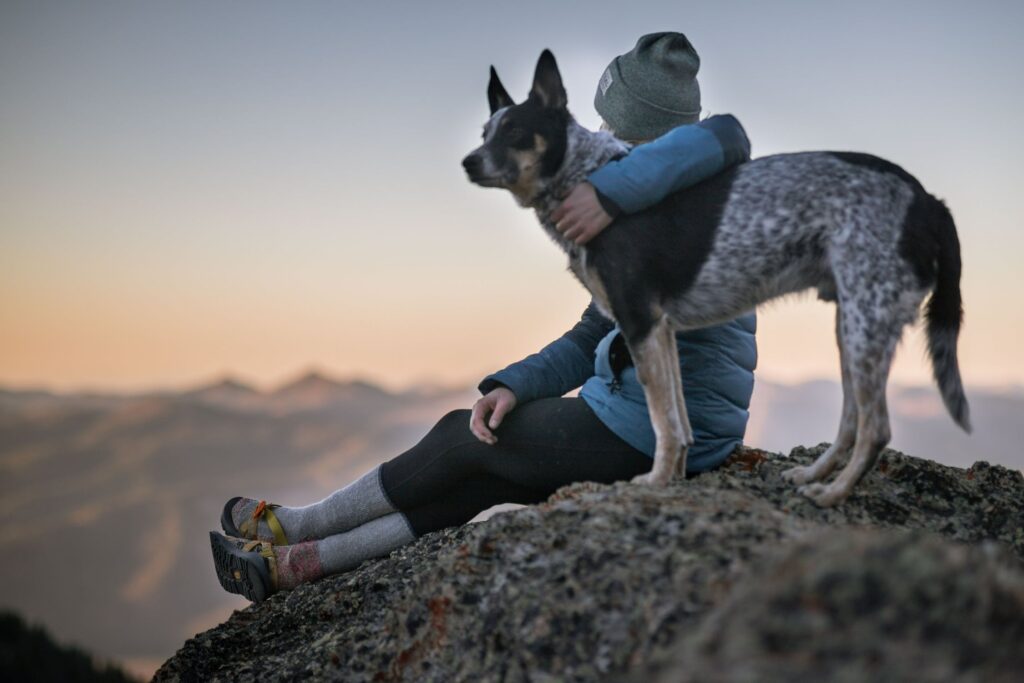 Dog training commands
