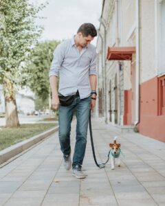 dog walking accessories small dog