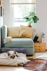 Dog Pillow beige puppy lying on brown textile