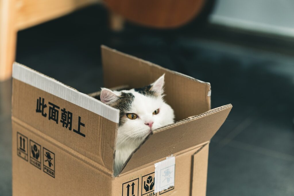 cat litter tray