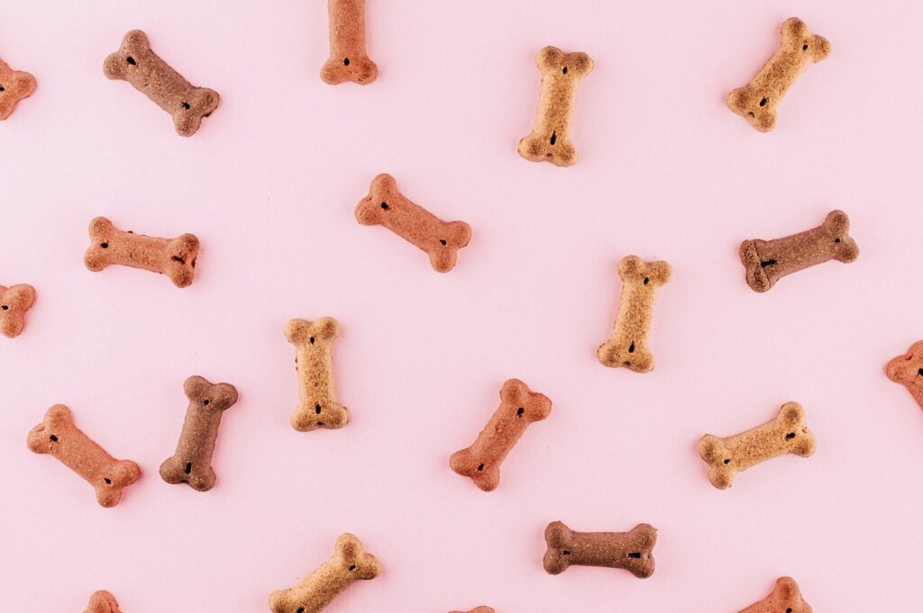 multicolored dog bone toys dog foot mat